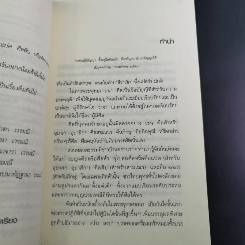 ศีลห้า ฉบับคู่มือรักษาใจ - ศีลปาโล รูปที่ 12