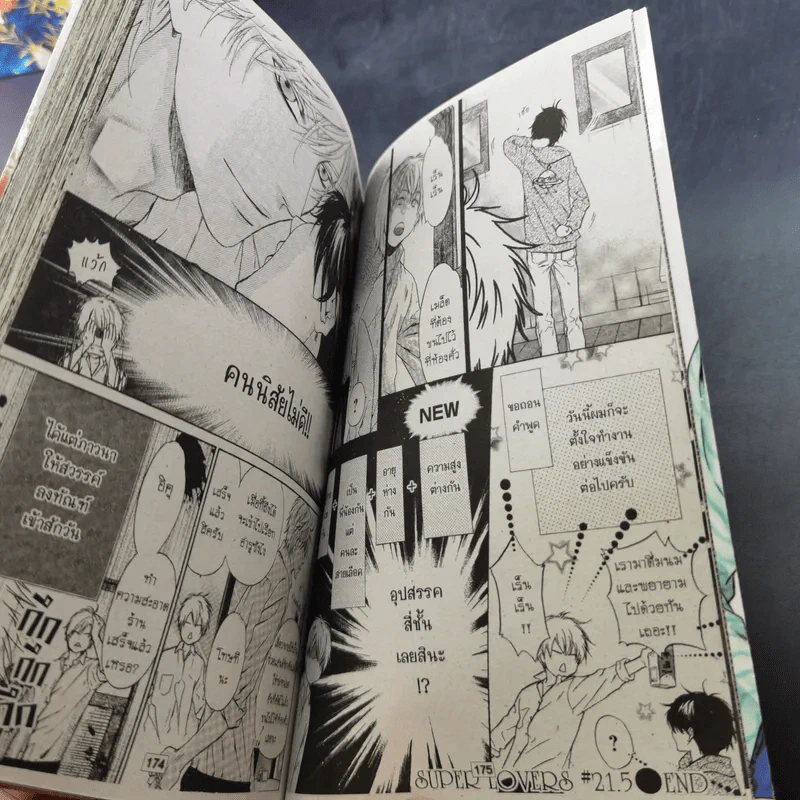 การ์ตูนวาย SUPER LOVERS สุดที่รัก เล่ม 1-7 รูปที่ 13