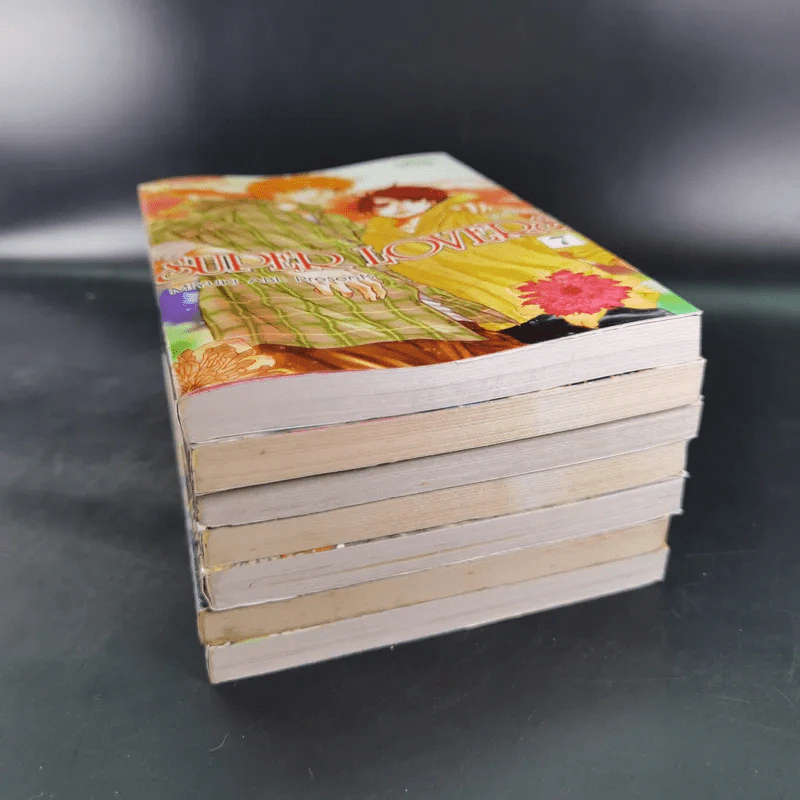 การ์ตูนวาย SUPER LOVERS สุดที่รัก เล่ม 1-7 รูปที่ 3