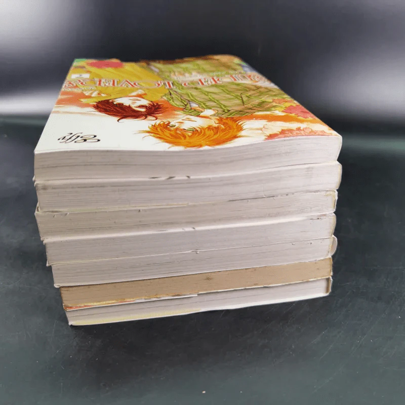การ์ตูนวาย SUPER LOVERS สุดที่รัก เล่ม 1-7 รูปที่ 5