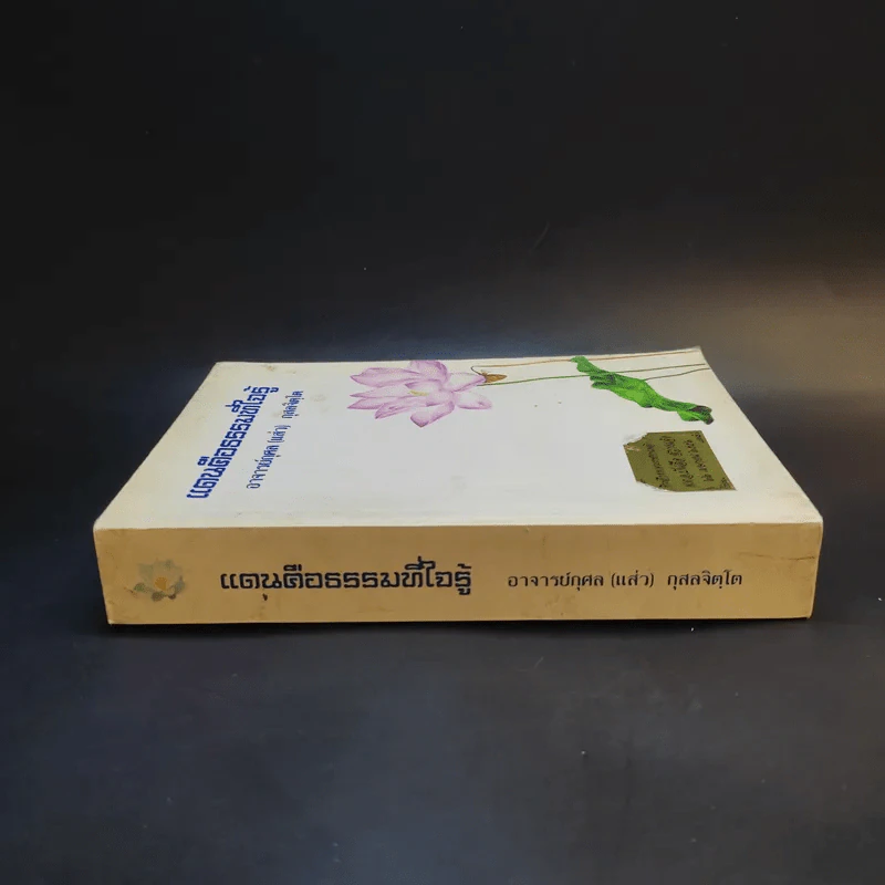 แดนคือธรรมที่ใจรู้ - อาจารย์กุศล (แส่ว) กุสลจิตโต รูปที่ 3