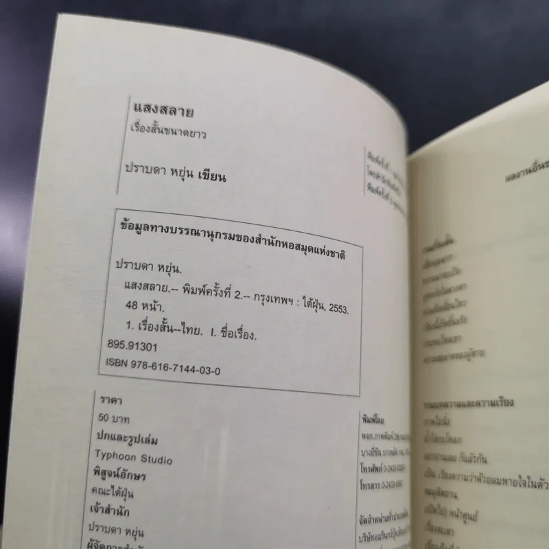 แสงสลาย - ปราบดา หยุ่น รูปที่ 7