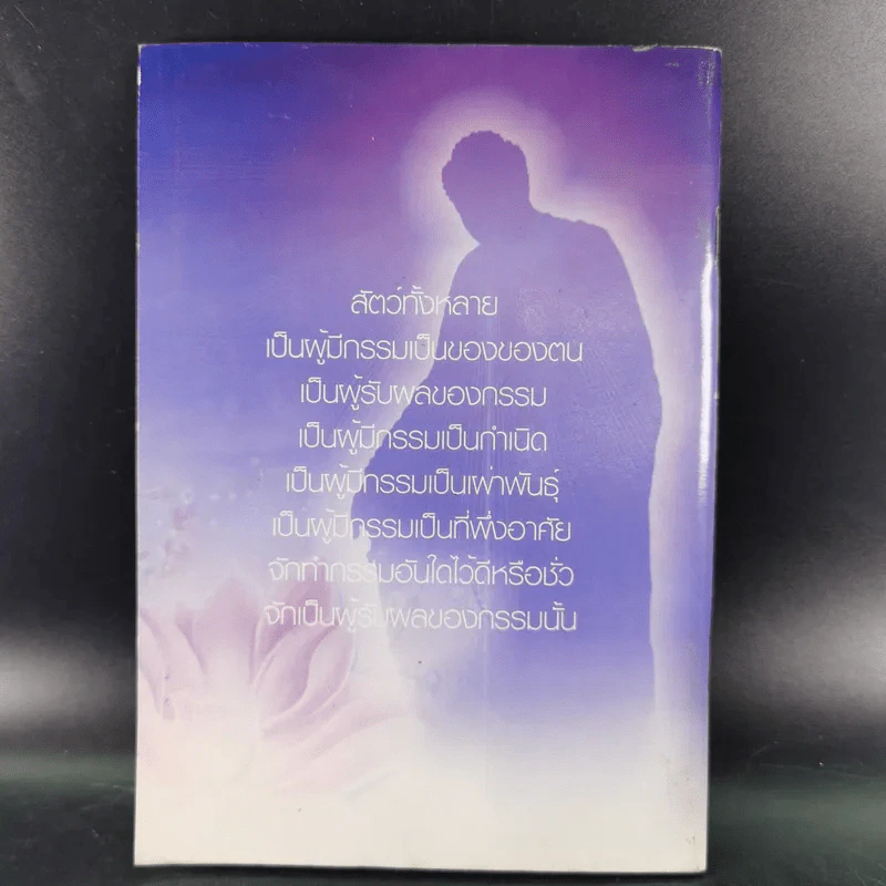 การ์ตูนคัมภีร์ธรรม เหตุต้น-ผลกรรม รูปที่ 2