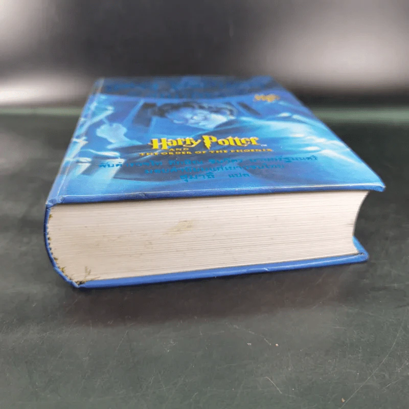 แฮร์รี่ พอตเตอร์ กับภาคีนกฟีนิกซ์ Harry Potter รูปที่ 5