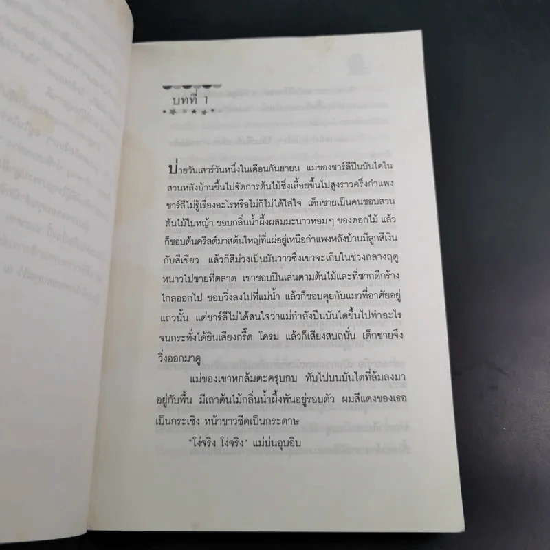 ไลอ้อนบอย - ซิซู คอร์เดอร์ รูปที่ 13