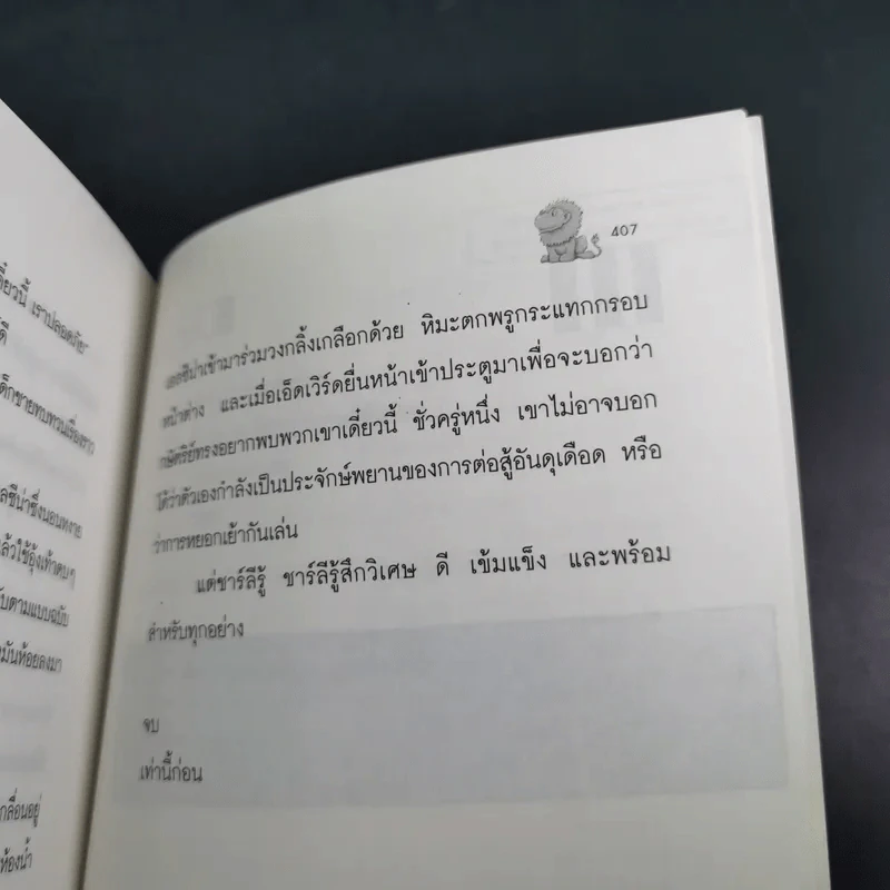 ไลอ้อนบอย - ซิซู คอร์เดอร์ รูปที่ 15