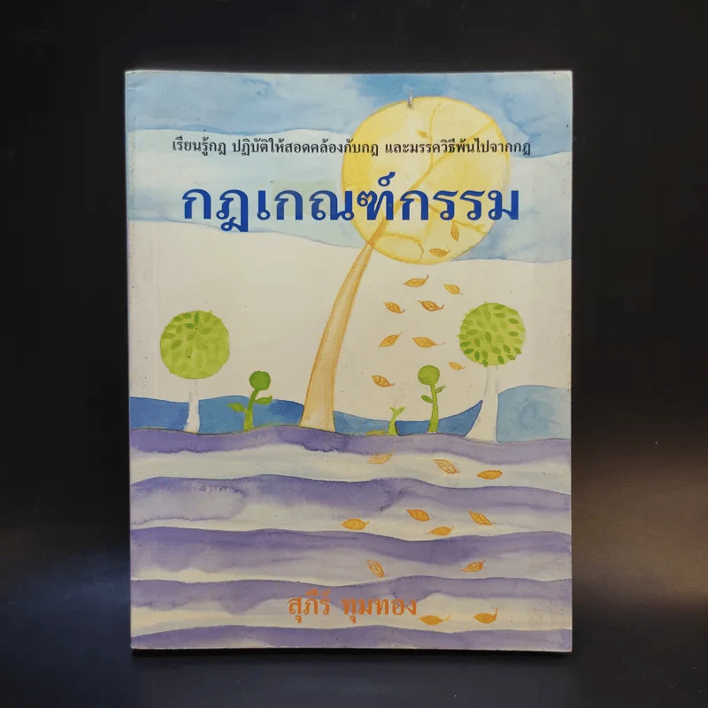 กฎเกณฑ์กรรม - สุภีร์ ทุมทอง รูปที่ 1