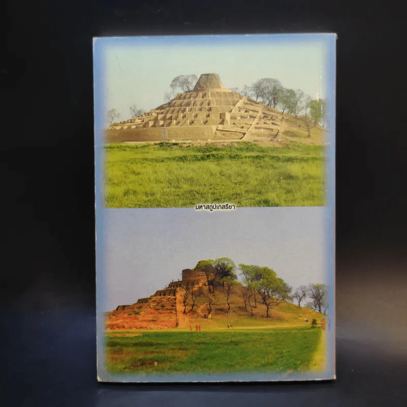 ชมรมสนทนาภาษาธรรม สโมสรการไฟฟ้านครหลวง 1 ส.ค.2553 รูปที่ 2