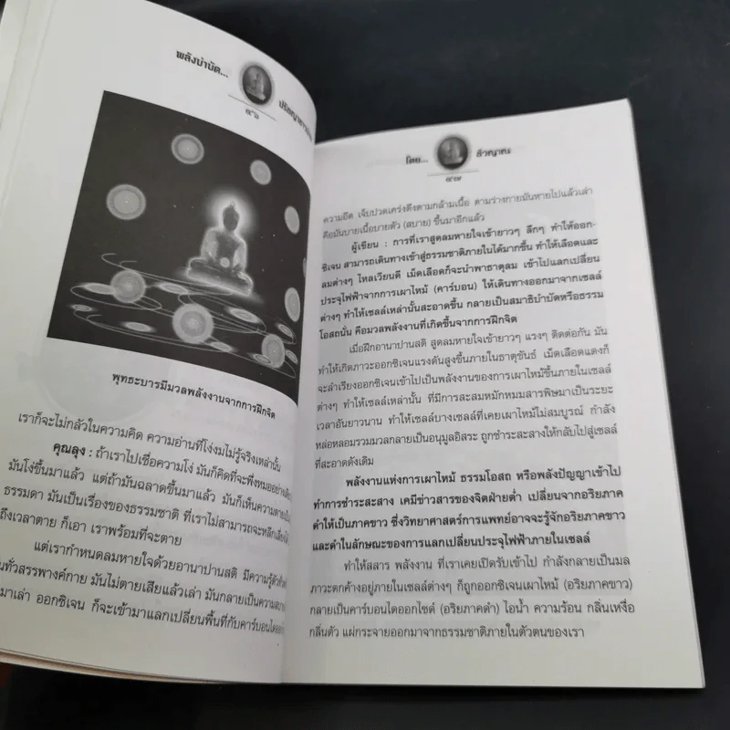 พลังบำบัด ปรัชญาชาวบ้าน - ชีวญาณ รูปที่ 15