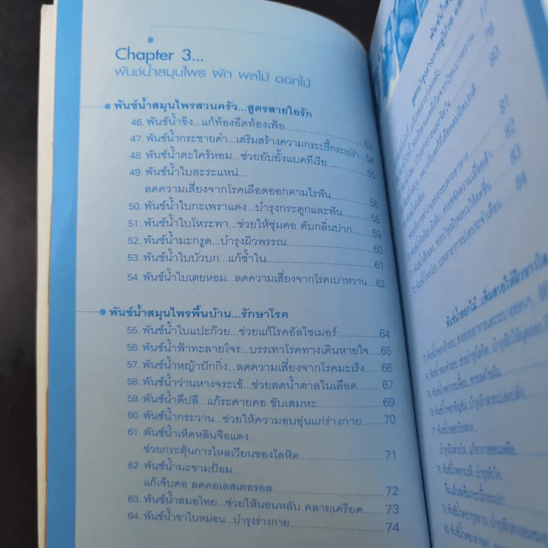 เพิ่มสวยให้ผิวขาวใสด้วยสมุนไพรคั้นสด - Pannisa Tantip รูปที่ 13