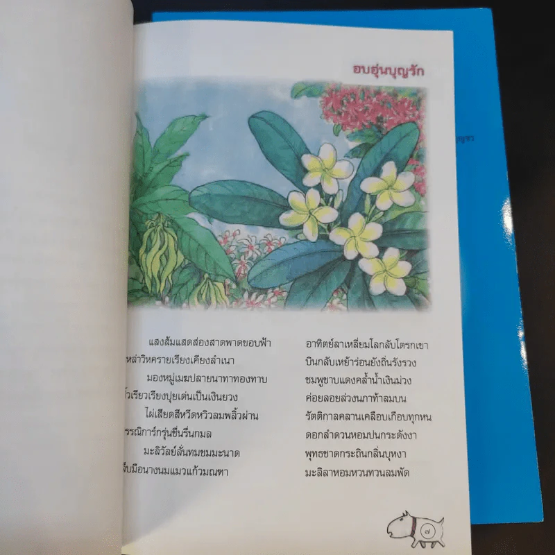 หนังสือบันเทิงคดีประเภทร้อยกรอง 5 เรื่อง รูปที่ 17