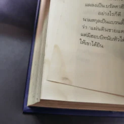 The Lord of the Rings ลอร์ดออฟเดอะริงส์ ตอน กษัตริย์คืนบัลลังก์ รูปที่ 20