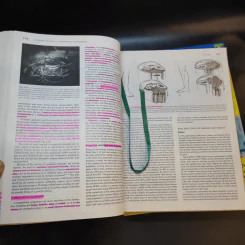 Schwartz's Principles of Surgery Special+Basic รูปที่ 15