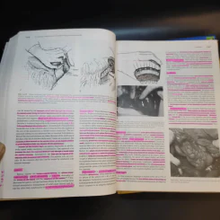 Schwartz's Principles of Surgery Special+Basic รูปที่ 18