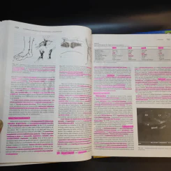 Schwartz's Principles of Surgery Special+Basic รูปที่ 19