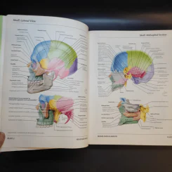 Atlas of Human Anatomy รูปที่ 14