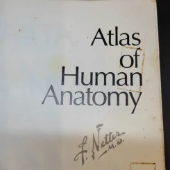 Atlas of Human Anatomy รูปที่ 3