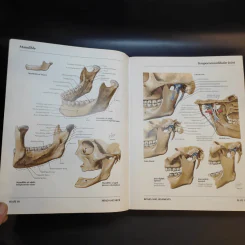 Atlas of Human Anatomy รูปที่ 16