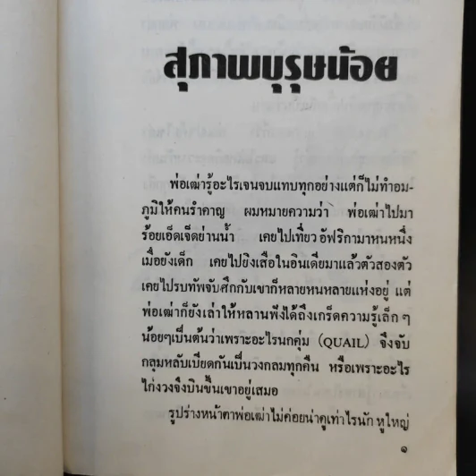 พ่อเฒ่ากับเจ้าหนู - วชิรา วัชรวัลลภ รูปที่ 11