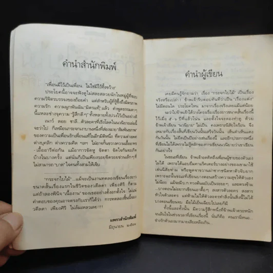 กระจกใบไม้ - วดีลดา เพียงศิริ รูปที่ 10