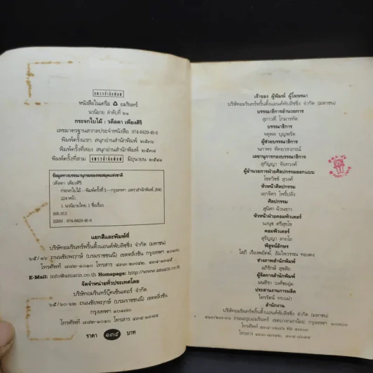 กระจกใบไม้ - วดีลดา เพียงศิริ รูปที่ 9