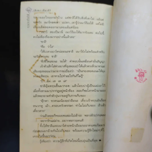 กระจกใบไม้ - วดีลดา เพียงศิริ รูปที่ 11