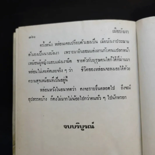 เมียบังเงา - จามรี พรรณชมพู รูปที่ 11
