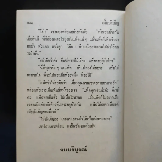 เมียบังเอิญ - จามรี พรรณชมพู รูปที่ 9