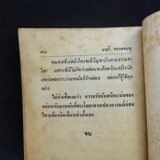 เปลวอารมณ์ - จามรี พรรณชมพู รูปที่ 11