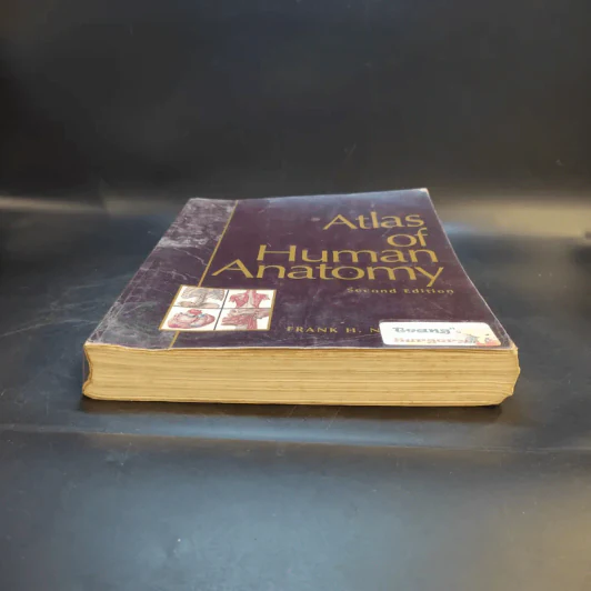 Atlas of Human Anatomy รูปที่ 5