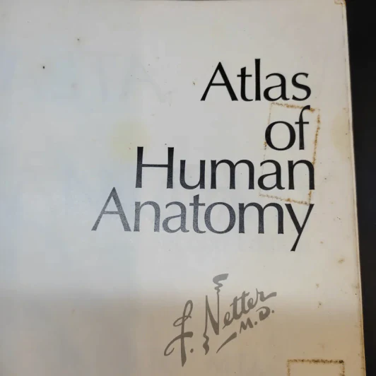 Atlas of Human Anatomy รูปที่ 3