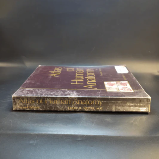 Atlas of Human Anatomy รูปที่ 4