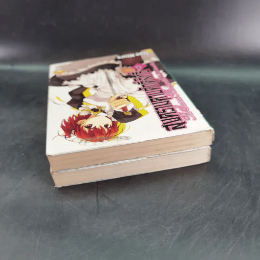 สงครามดาบศักดิ์สิทธิ์ เล่ม 1-2 รูปที่ 6