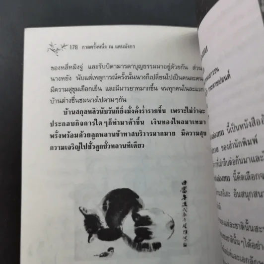กาลครั้งหนึ่ง ณ แดนมังกร - วิณ พิทักษ์ แปล รูปที่ 12