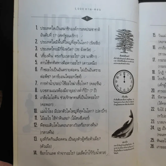 1,000 ถาม - ตอบ ความรู้รอบตัว - กวิน ซื่อแท้ รูปที่ 8