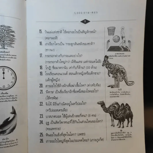 1,000 ถาม - ตอบ ความรู้รอบตัว - กวิน ซื่อแท้ รูปที่ 9