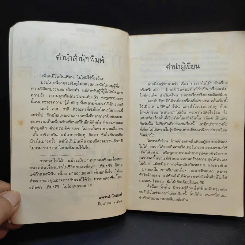 กระจกใบไม้ - วดีลดา เพียงศิริ รูปที่ 10