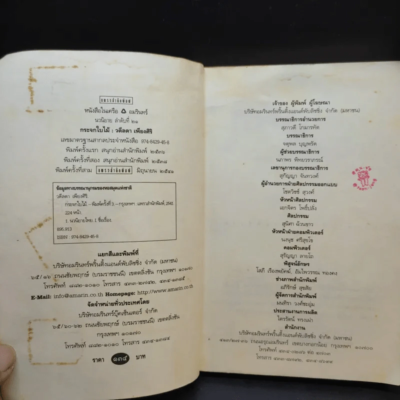 กระจกใบไม้ - วดีลดา เพียงศิริ รูปที่ 9
