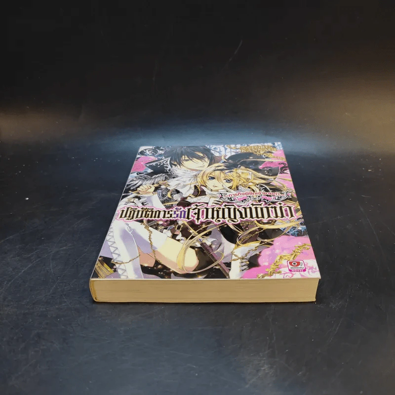 ภารกิจพิชิตเจ้าชายเก่า ปฏิบัติการรักเจ้าหญิงนักฆ่า เล่ม 1 รูปที่ 3