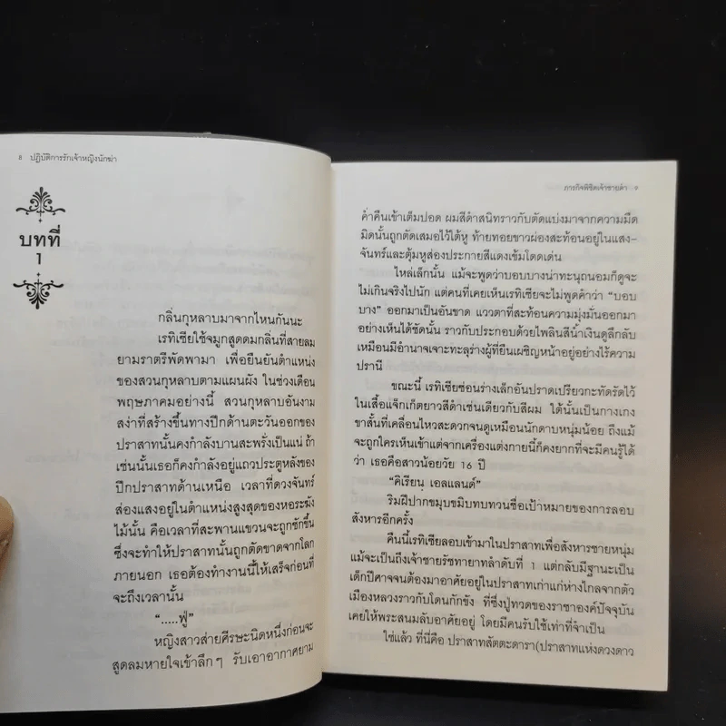 ภารกิจพิชิตเจ้าชายเก่า ปฏิบัติการรักเจ้าหญิงนักฆ่า เล่ม 1 รูปที่ 9