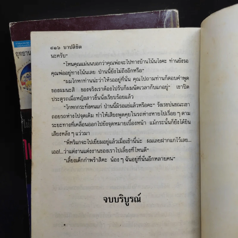 บาปลิขิต 2 เล่มจบ - พัดชา รูปที่ 13