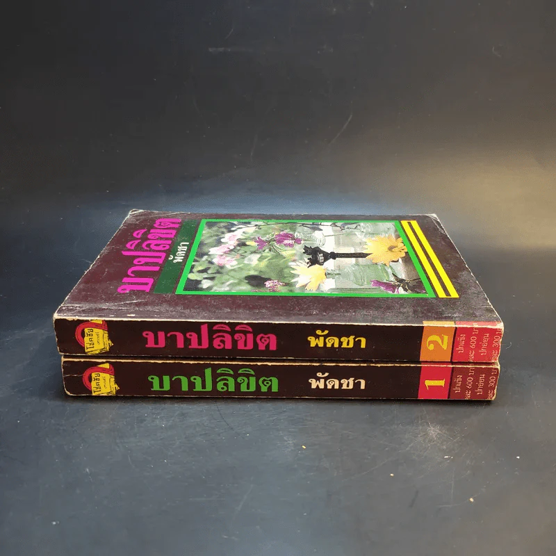 บาปลิขิต 2 เล่มจบ - พัดชา รูปที่ 4