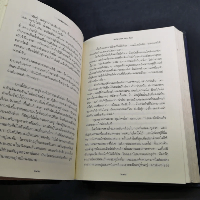 The Lord of the Rings ลอร์ดออฟเดอะริงส์ ตอน กษัตริย์คืนบัลลังก์ รูปที่ 18
