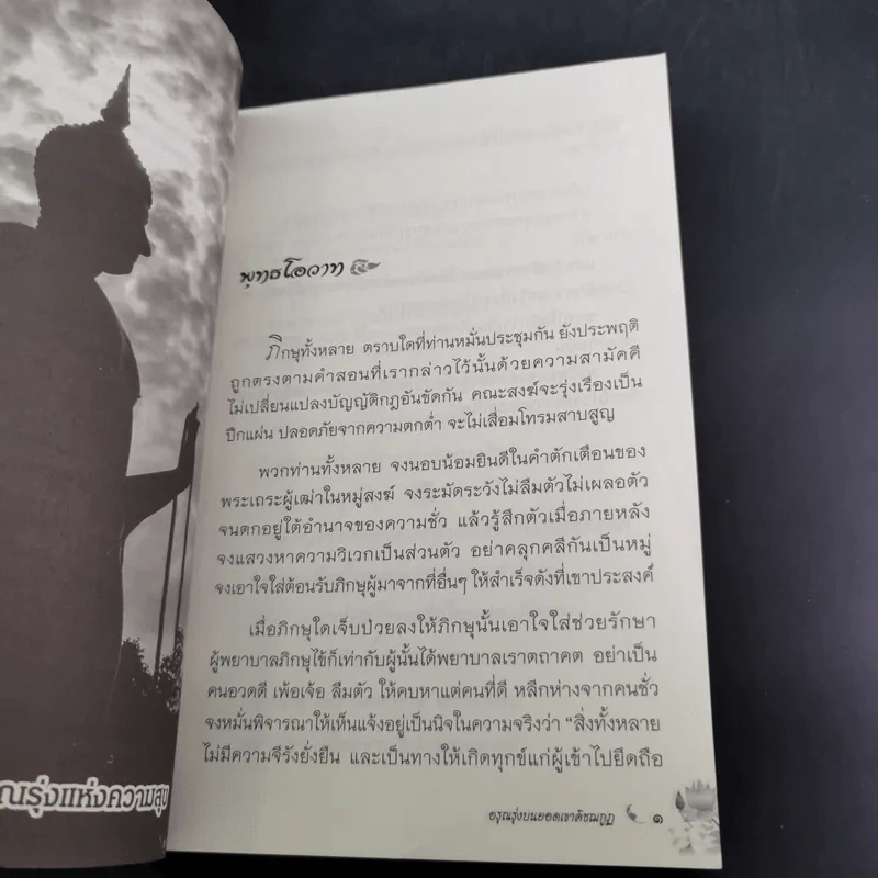 อรุณรุ่งบนดอยเขาคิชฌกูฏ - ภิกขุอานันท์ พุทธธัมโม รูปที่ 11