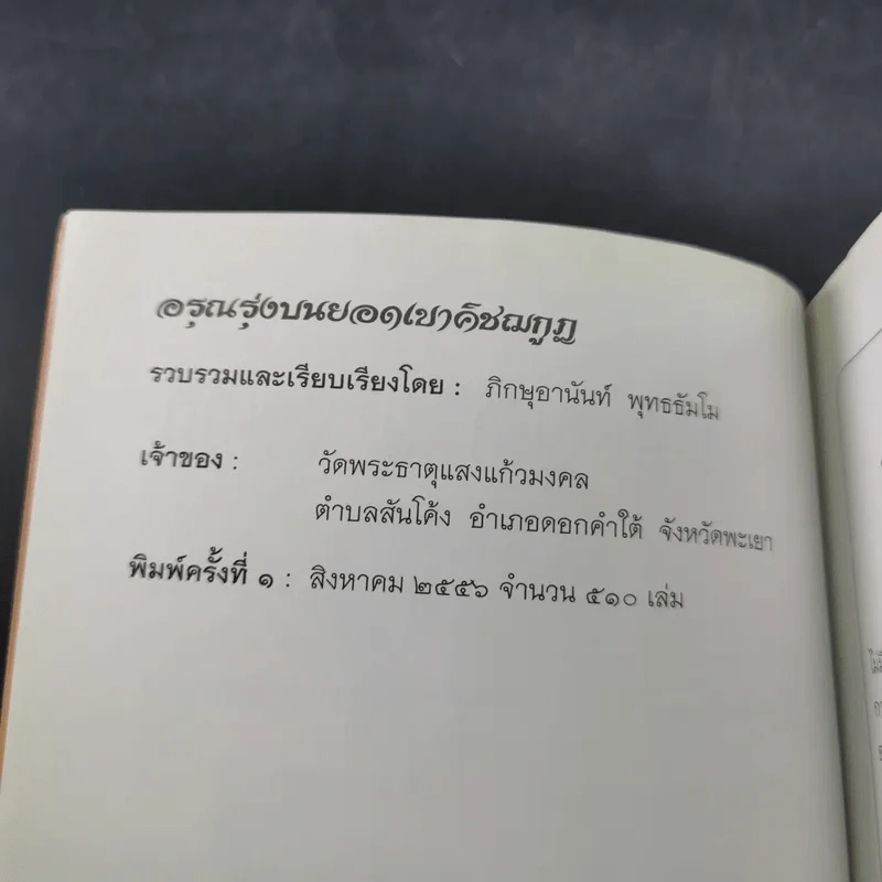 อรุณรุ่งบนดอยเขาคิชฌกูฏ - ภิกขุอานันท์ พุทธธัมโม รูปที่ 8