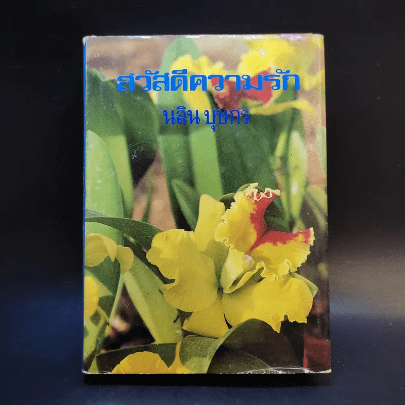 สวัสดีความรัก - นลิน บุษกร รูปที่ 1