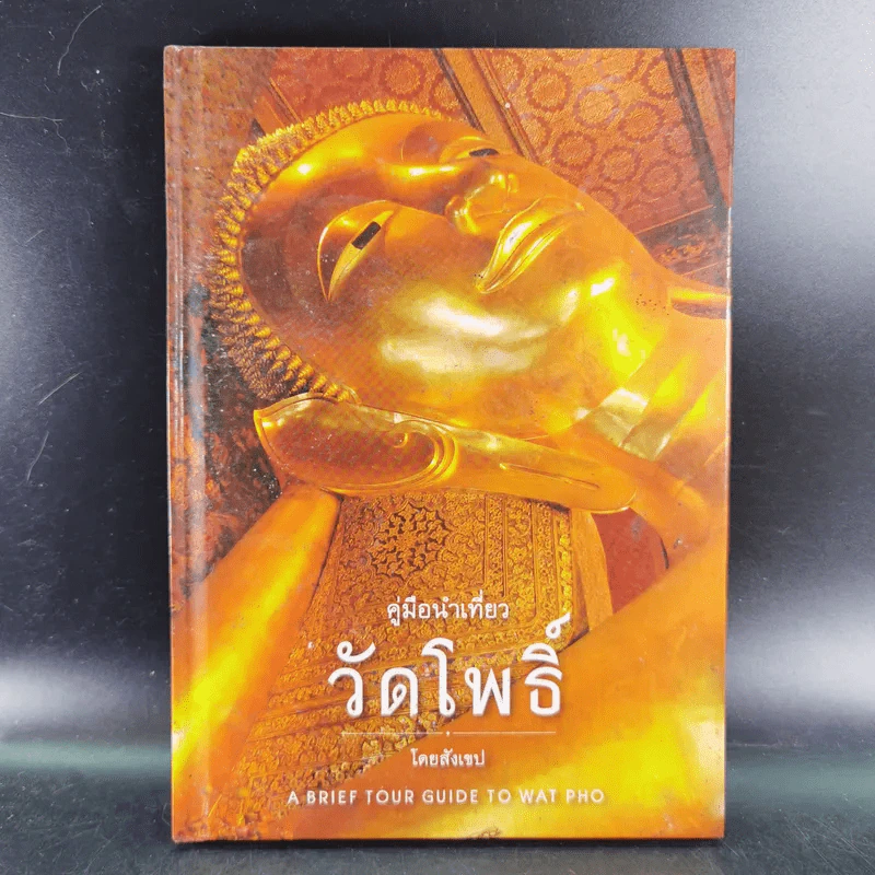 คู่มือนำเที่ยว วัดโพธิ์ โดยสังเขป รูปที่ 1