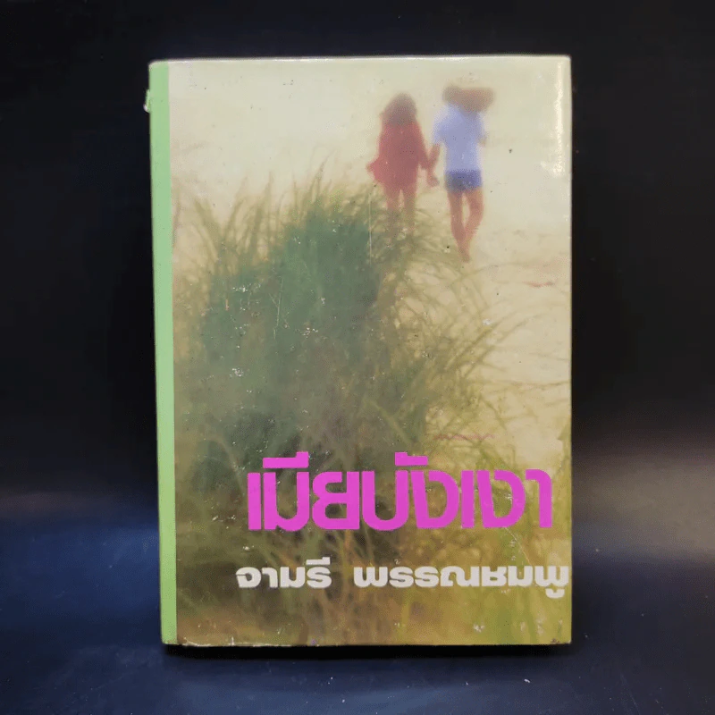 เมียบังเงา - จามรี พรรณชมพู รูปที่ 1