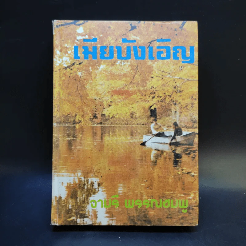 เมียบังเอิญ - จามรี พรรณชมพู รูปที่ 1