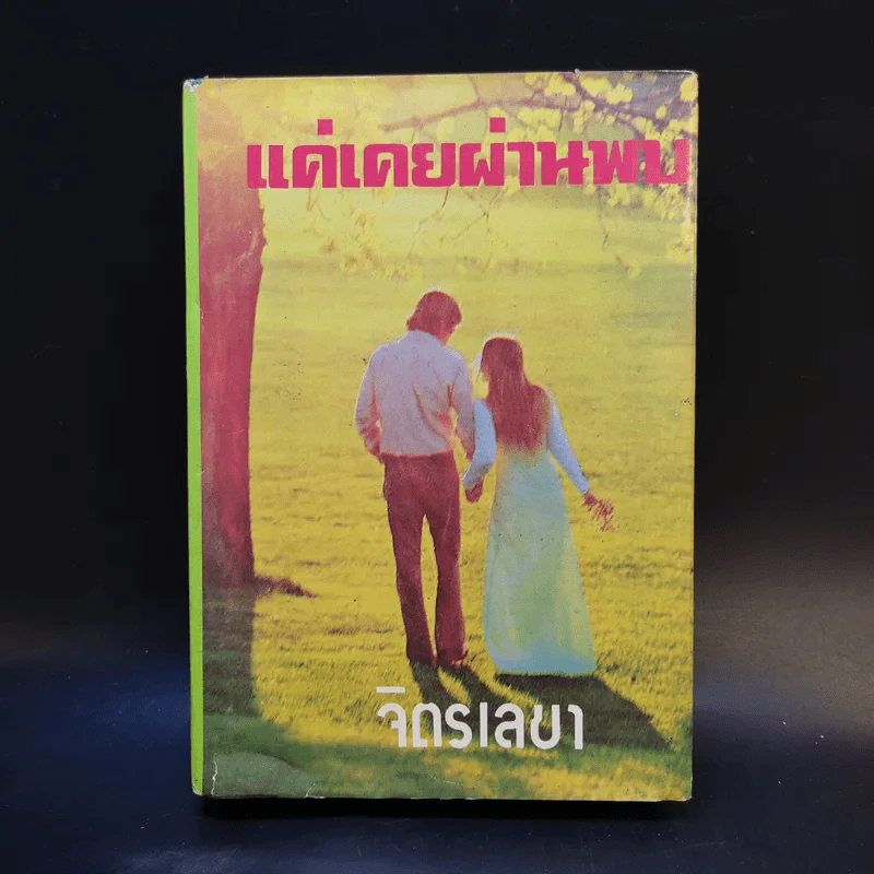 แค่เคยผ่านพบ - จิตรเลขา รูปที่ 1